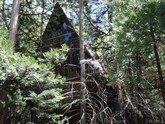 property listing