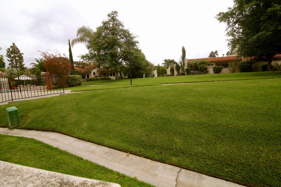 view from patio toward pool