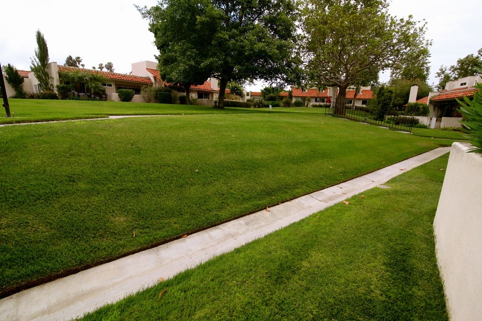 view from front of patio toward greenbelt